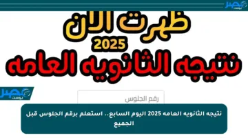 نتيجة الثانوية العامة 2025 اليوم السابع.. استعلم برقم الجلوس قبل الجميع